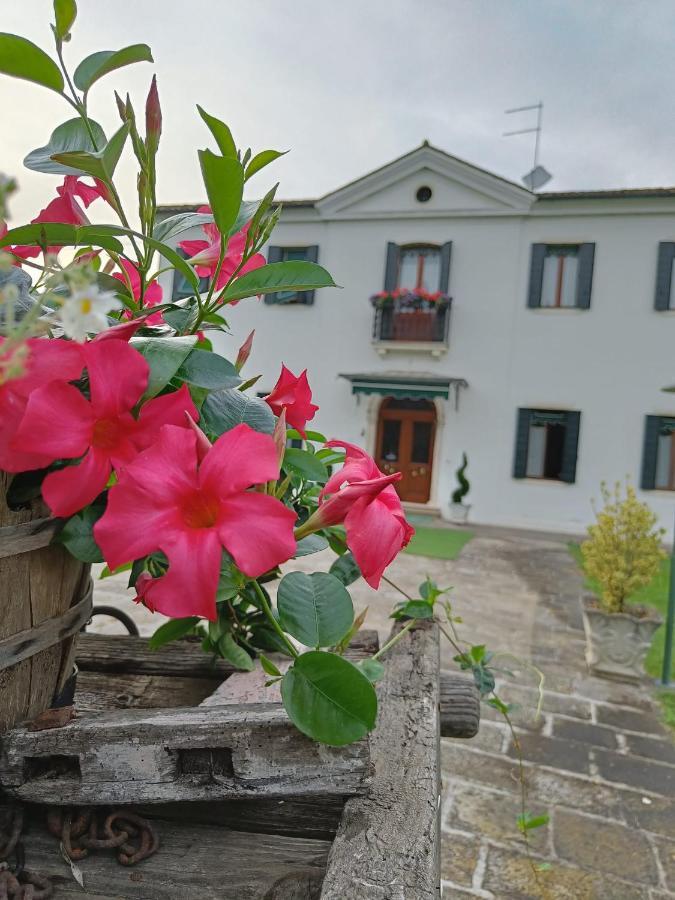 Agriturismo Villa Greggio Casalserugo Kültér fotó
