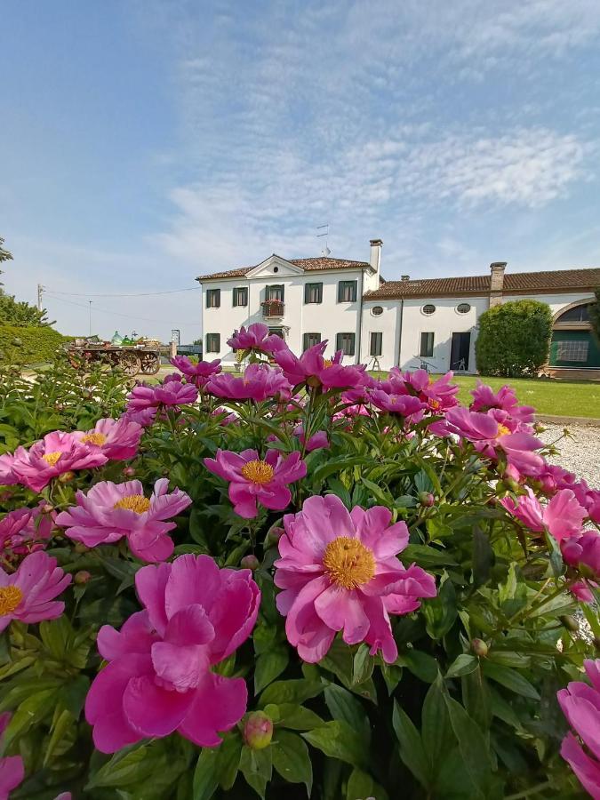 Agriturismo Villa Greggio Casalserugo Kültér fotó