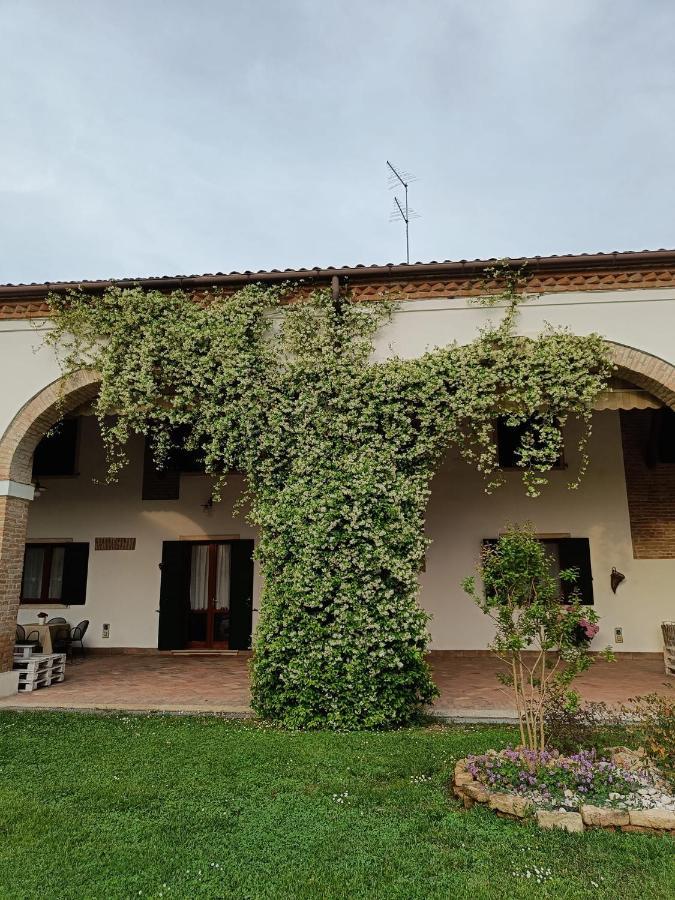 Agriturismo Villa Greggio Casalserugo Kültér fotó